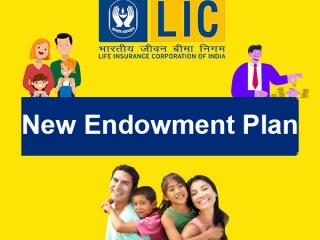 LIC New Endowment 714