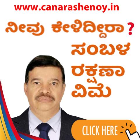 ಸಂಬಳ ರಕ್ಷಣಾ ವಿಮೆ