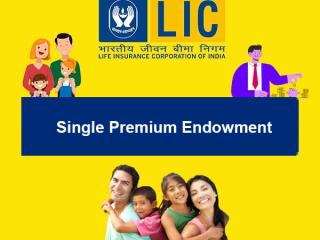LIC Single Premium Endowment 717